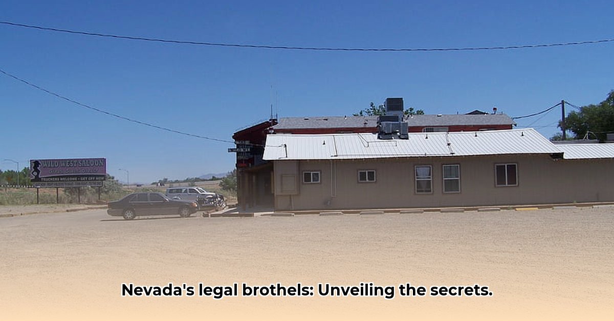 brothel-in-winnemucca-nv